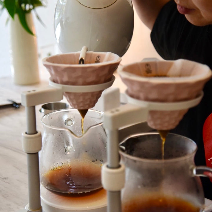 Nocri Coffee Roaster