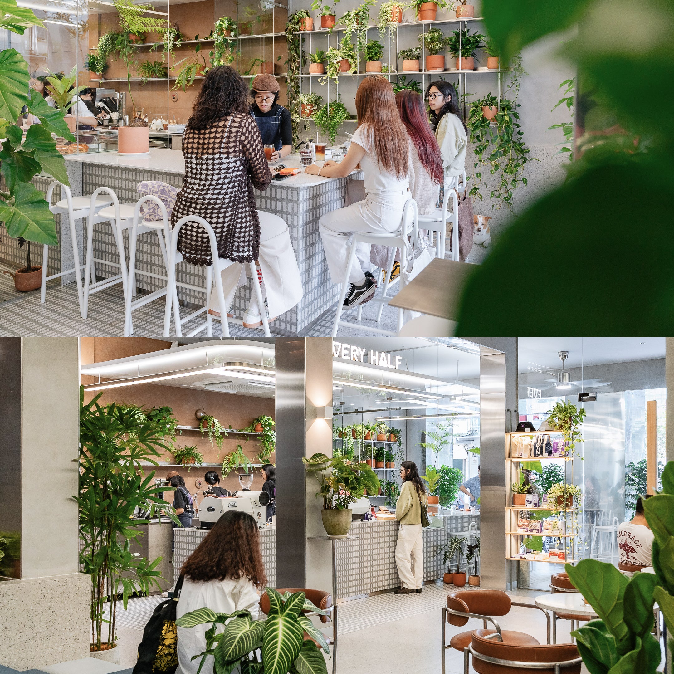 Every Half Coffee Roasters