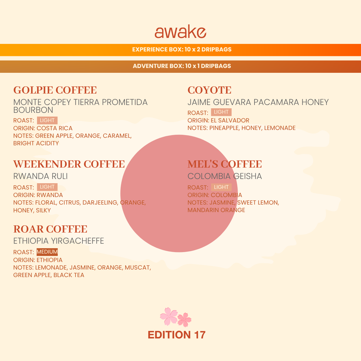 3-Month Subscription - Experience (Box of 20 Drip Bags/Month | Shipping Included)