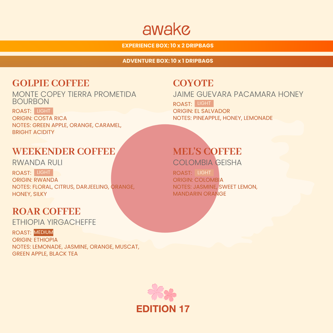 3-Month Subscription - Experience (Box of 20 Drip Bags/Month | Shipping Included)