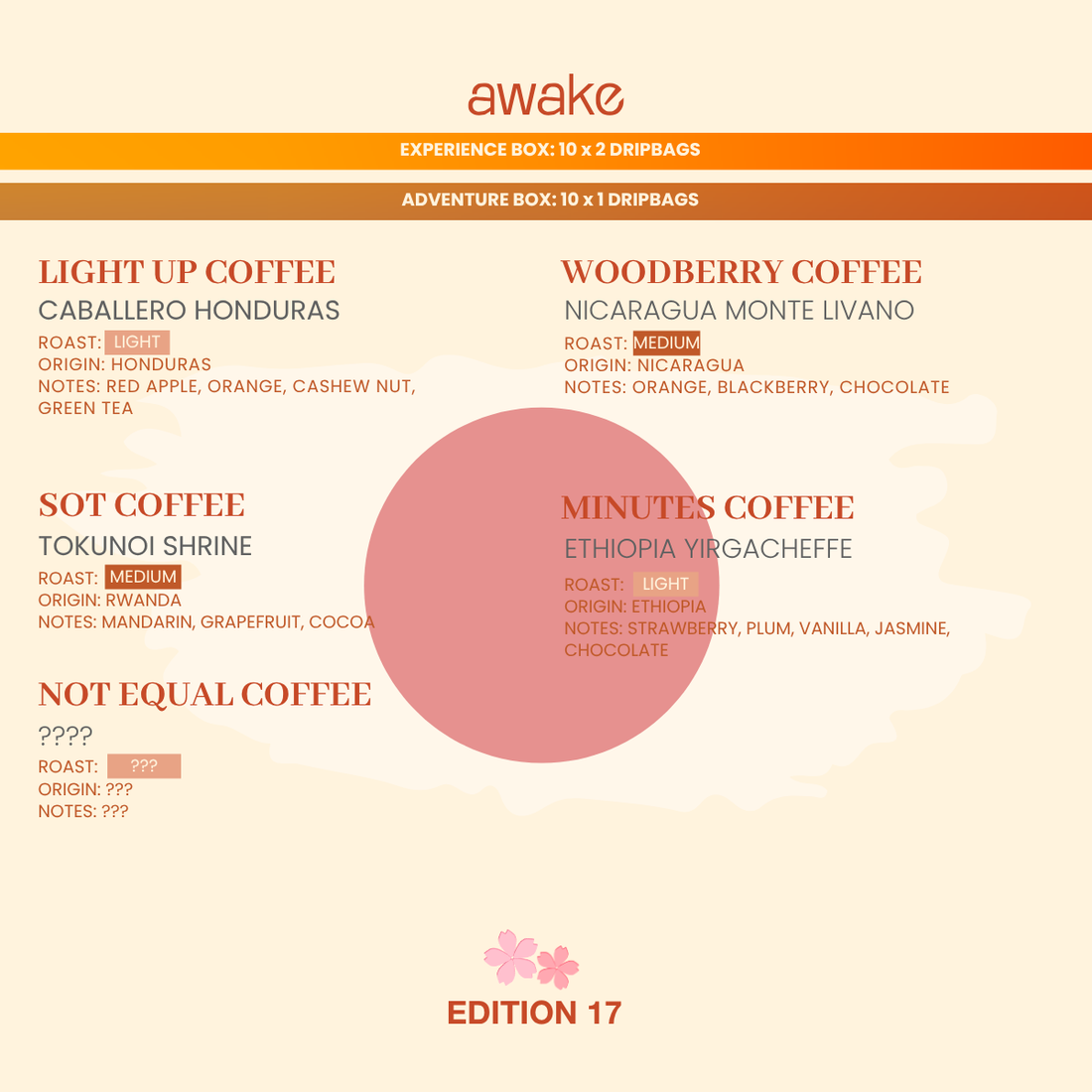 3-Month Subscription - Experience (Box of 20 Drip Bags/Month | Shipping Included)