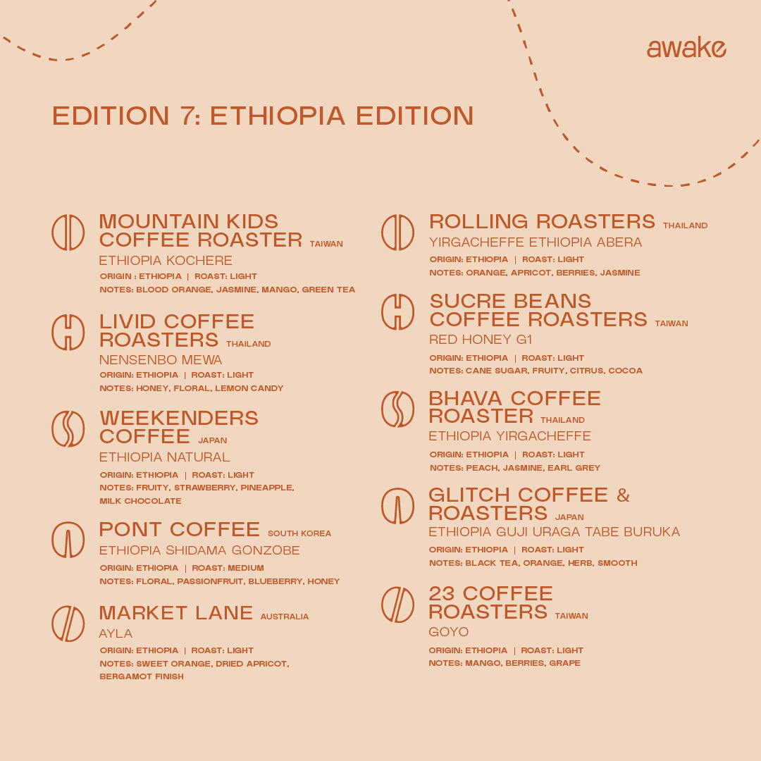 3-Month Subscription - Experience (Box of 20 Drip Bags/Month | Shipping Included)