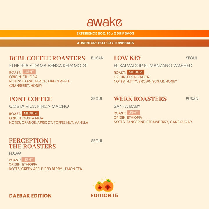 3-Month Subscription - Experience (Box of 20 Drip Bags/Month | Shipping Included)