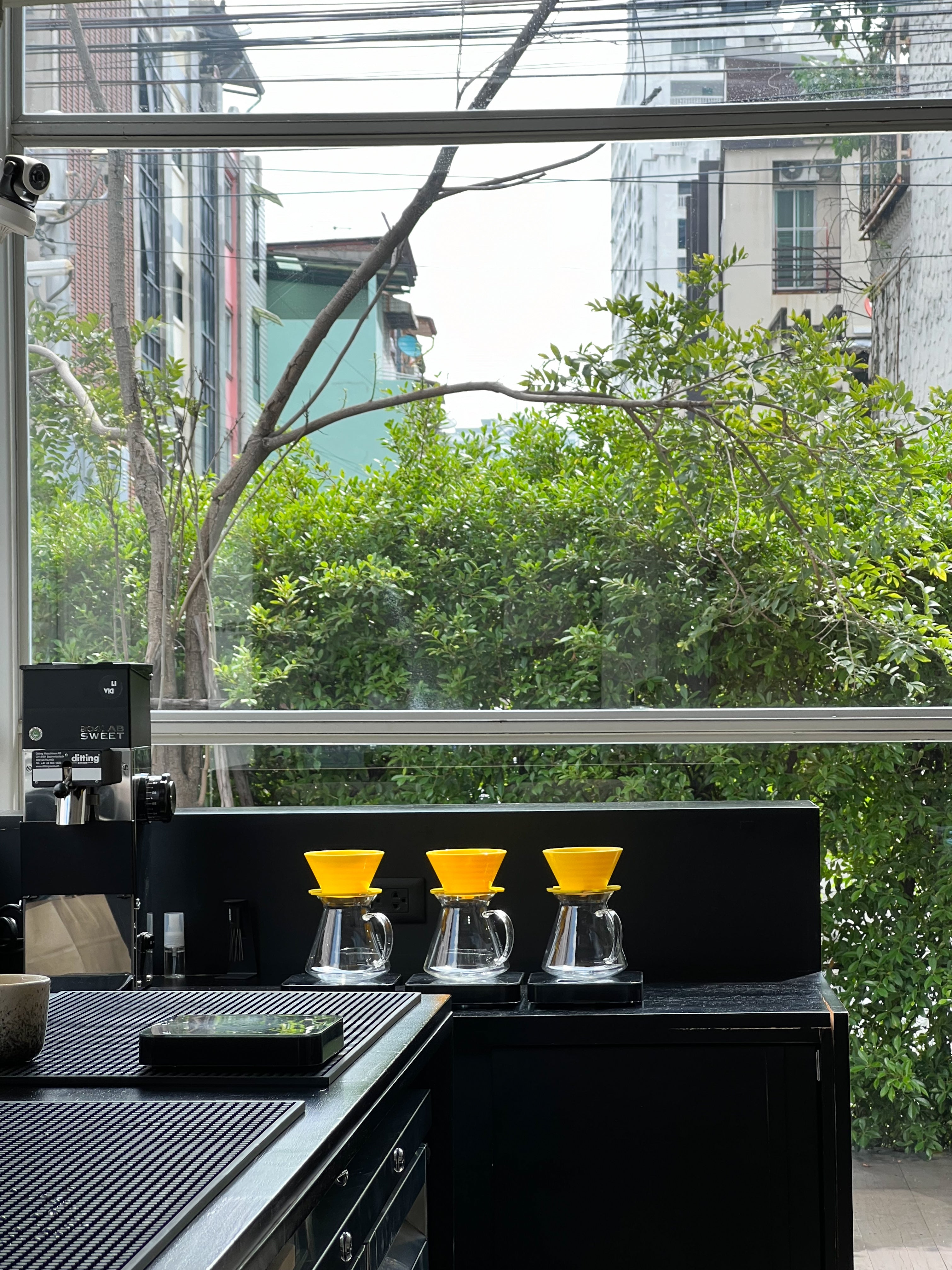 Livid Coffee Roasters