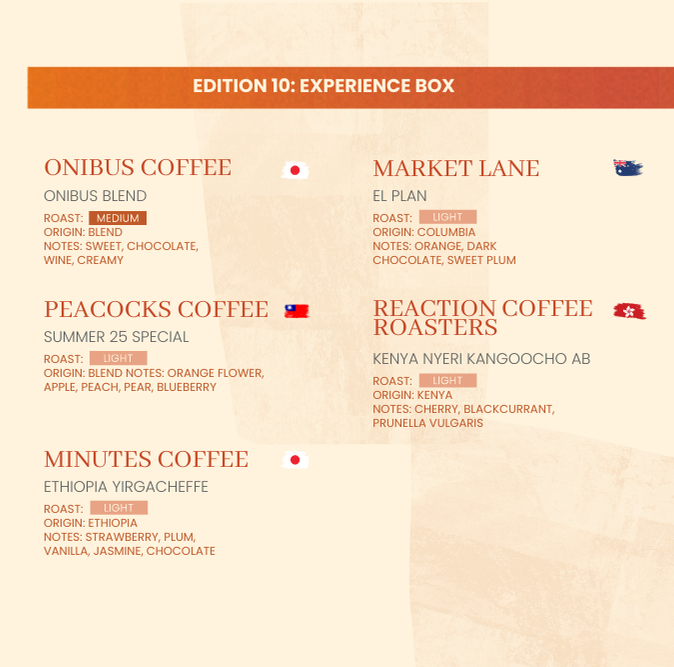 3-Month Subscription - Experience (Box of 20 Drip Bags/Month | Shipping Included)