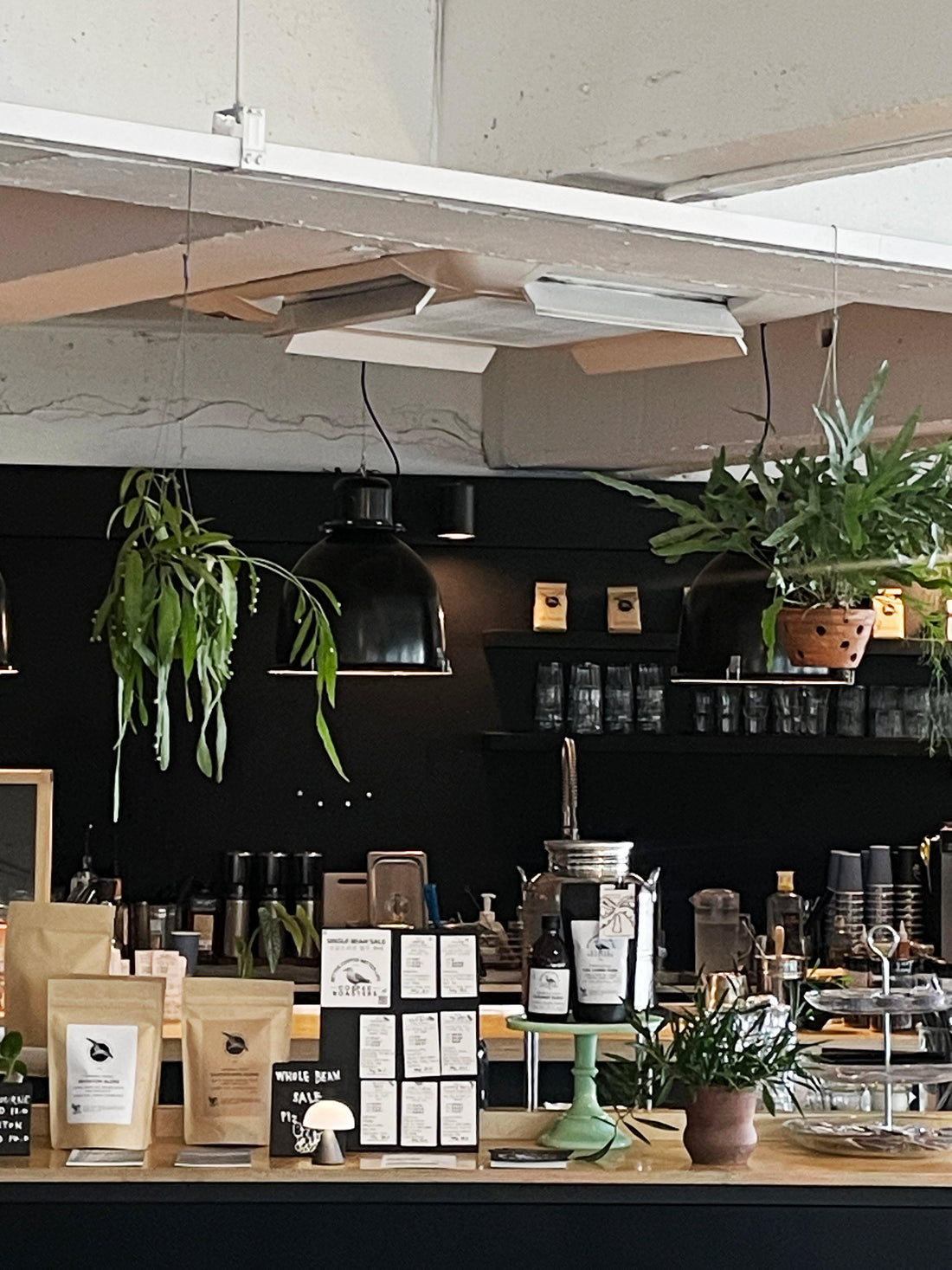 BCBL Coffee Roasters